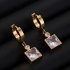 The new cross-border unisex golden square zirconia titanium steel earrings are simple, fashionable, elegant and exquisite. They are dazzling and brilliant Application Scenario